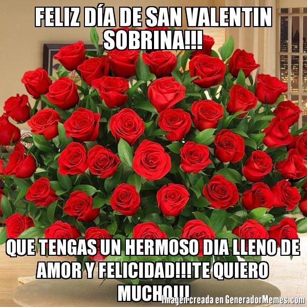 feliz dia de san valentin sobrina