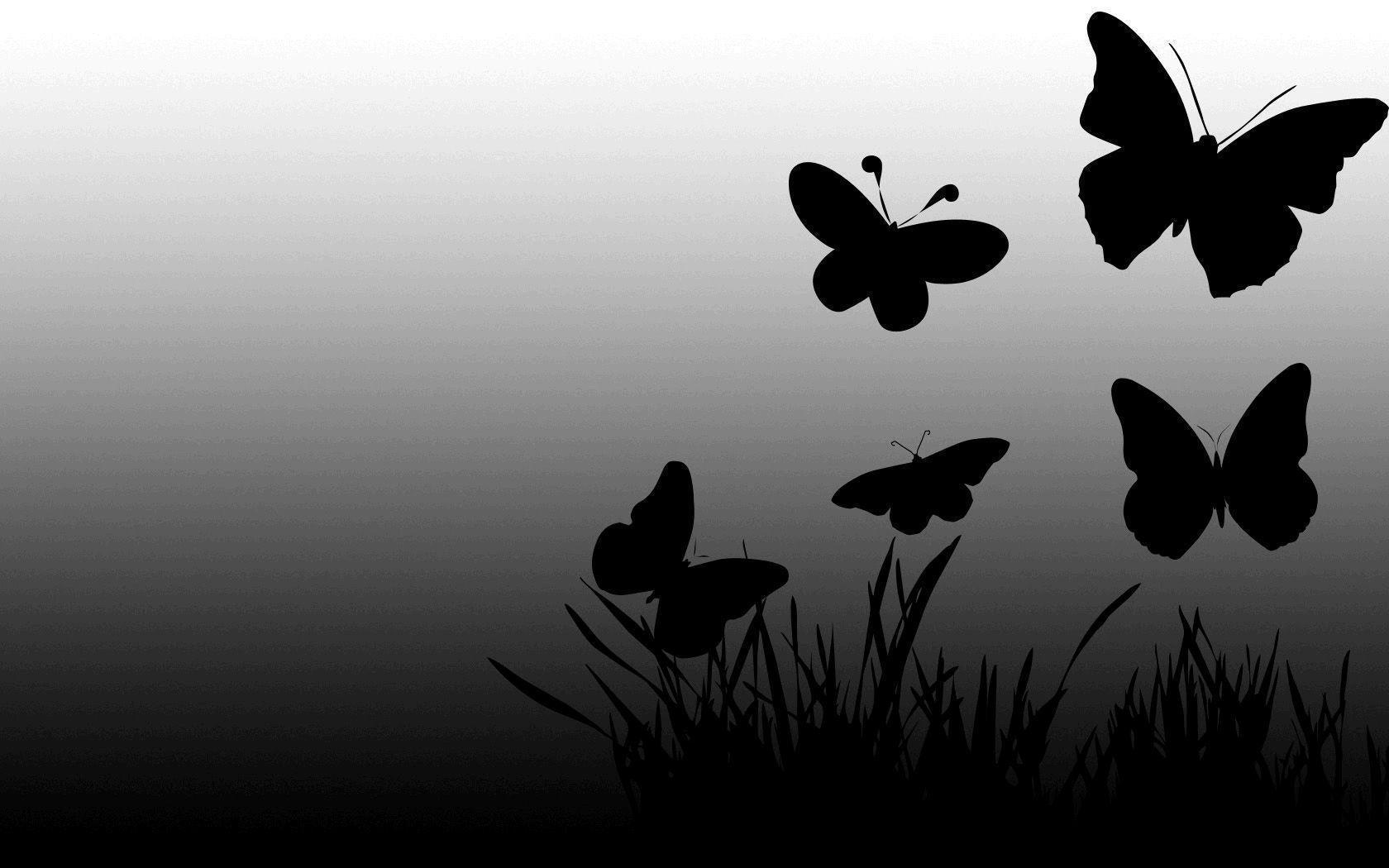 black butterfly wallpaper hd