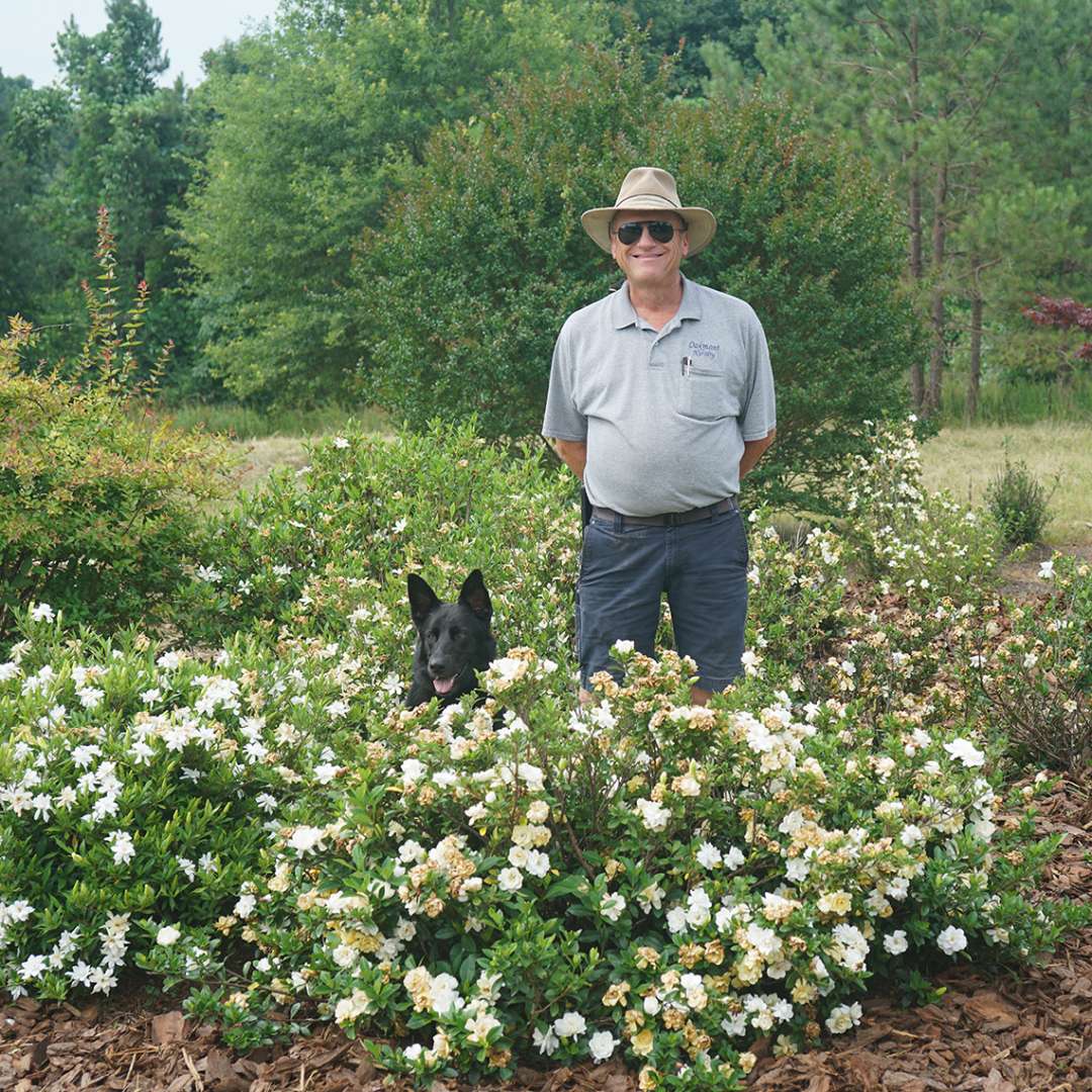 gardenia steady as she goes