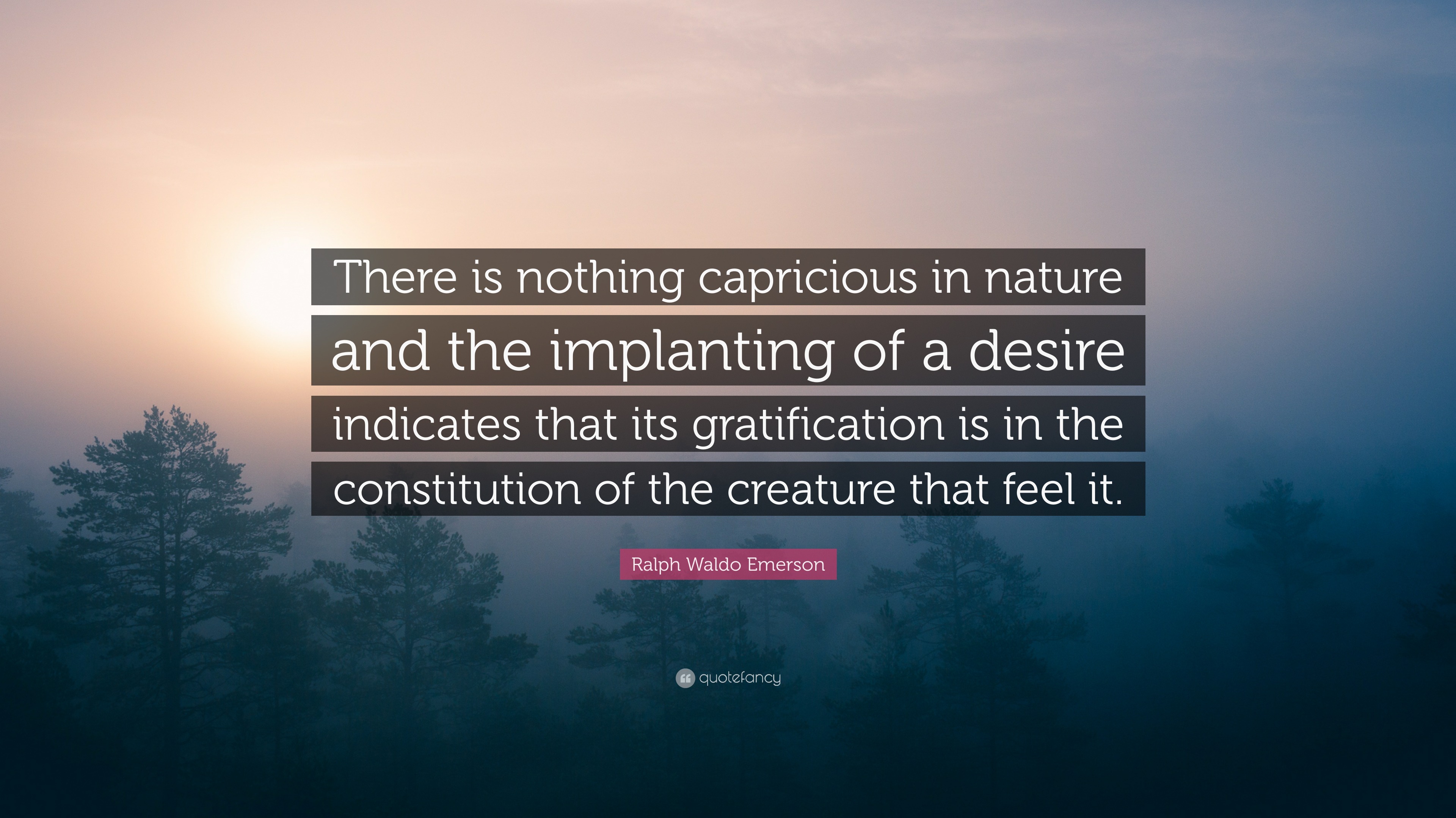 the capricious nature of feelings