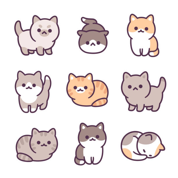 kawaii pics of cats