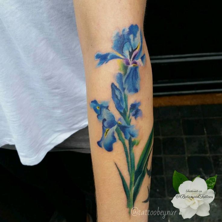 blue iris tattoo meaning