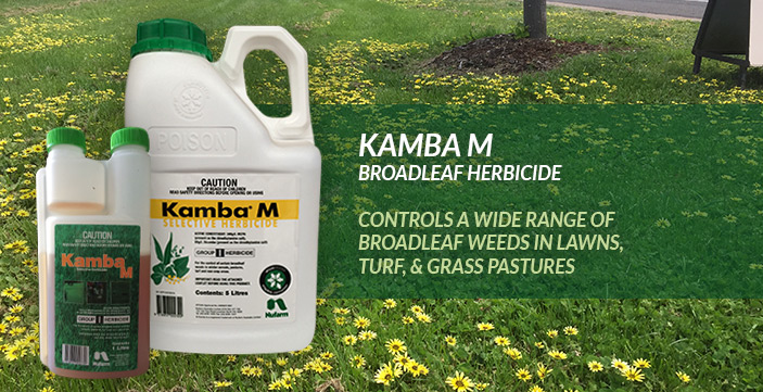 what weeds does kamba m kill