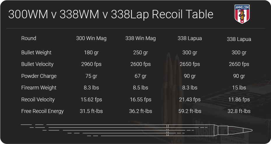 338 wm vs 300wm