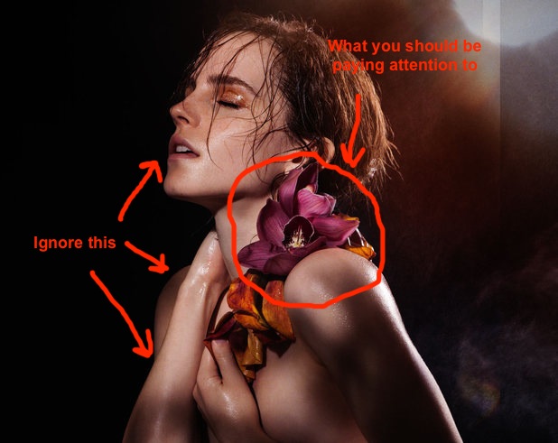 emma watson nude pictures