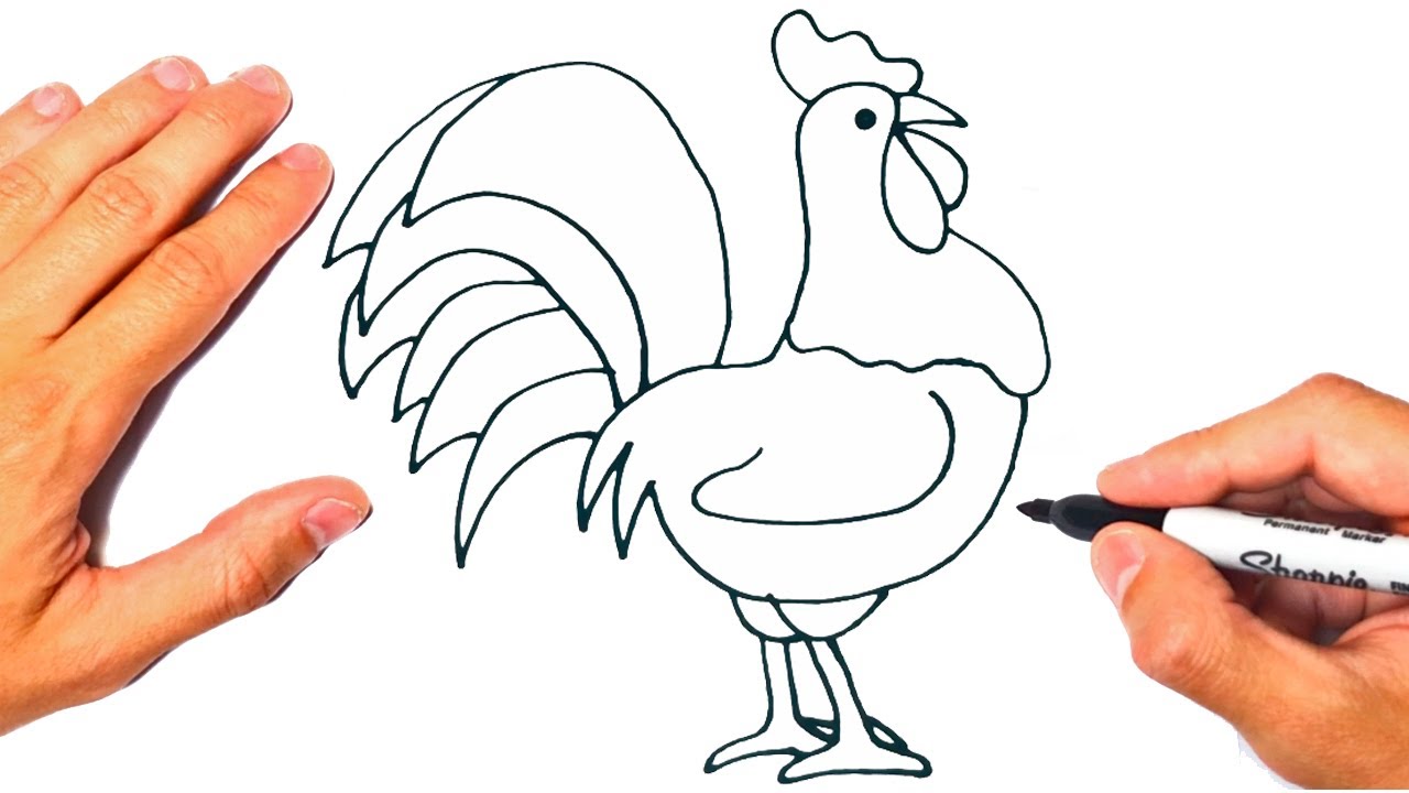 imagenes de un gallo para dibujar