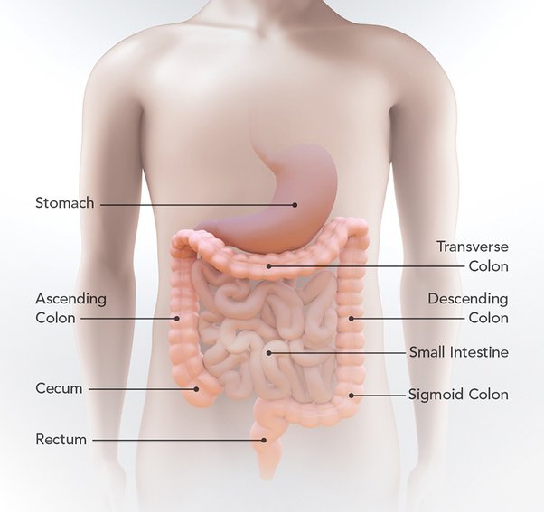 sharp pain right side under ribs