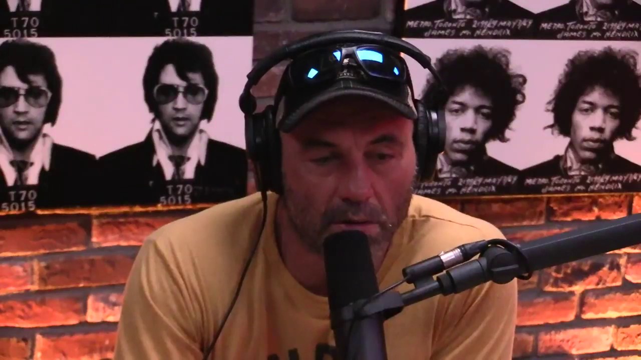 ron miscavige joe rogan