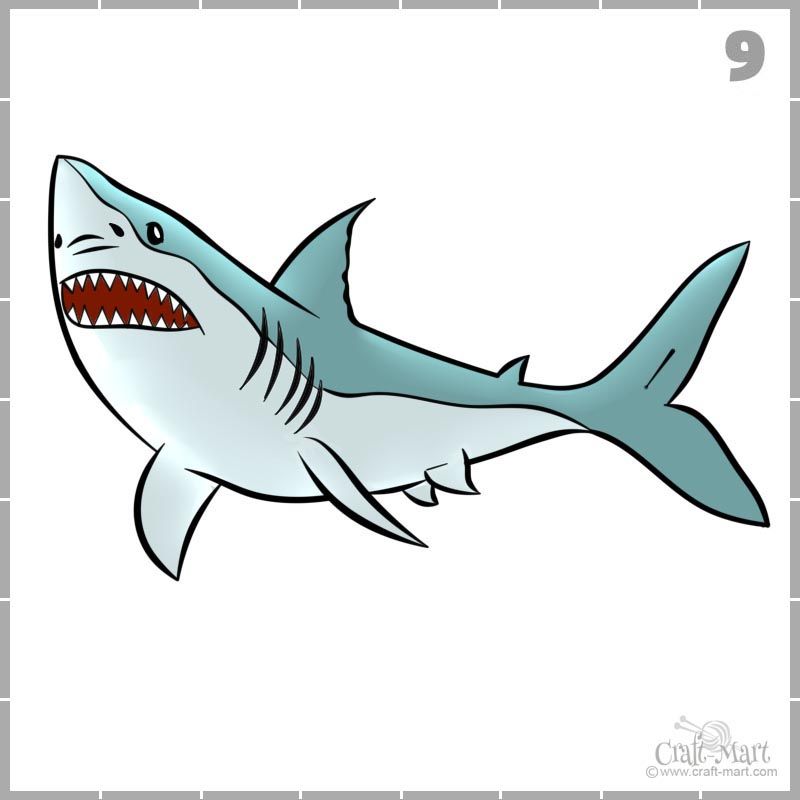 shark pictures to draw