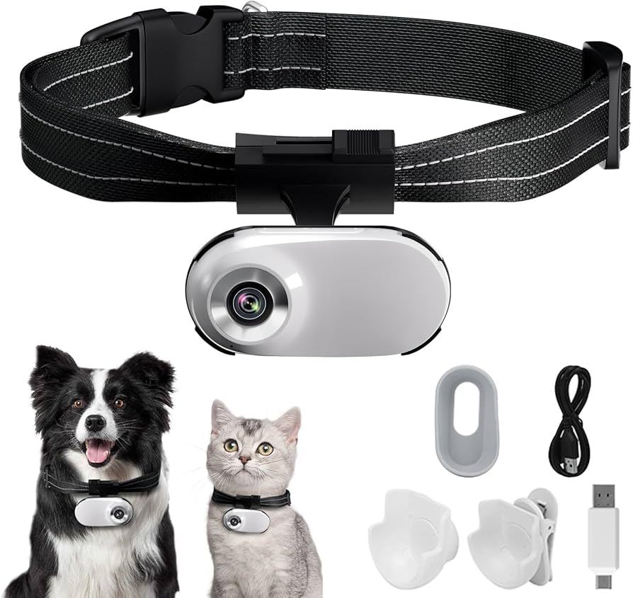 pet collar camera