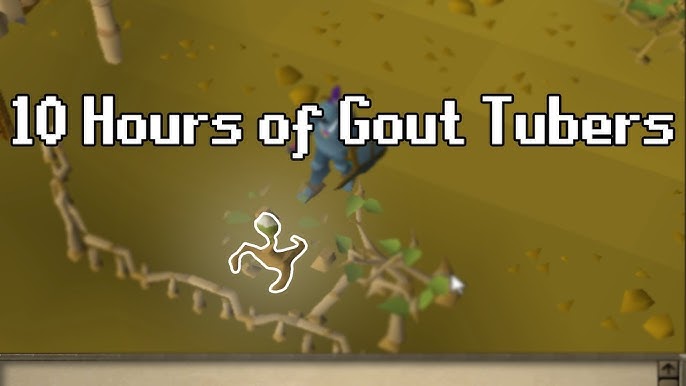 gout tuber