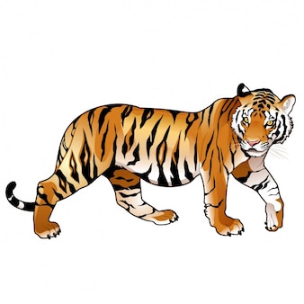 tiger clipart