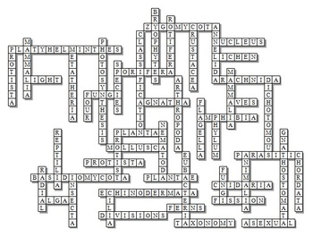 taxonomic category crossword