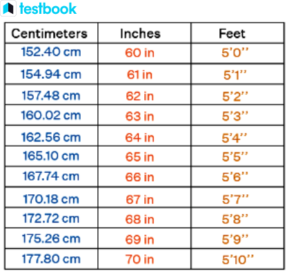 205 cm into feet