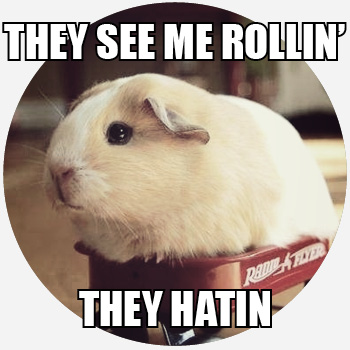 they see me rollin meme