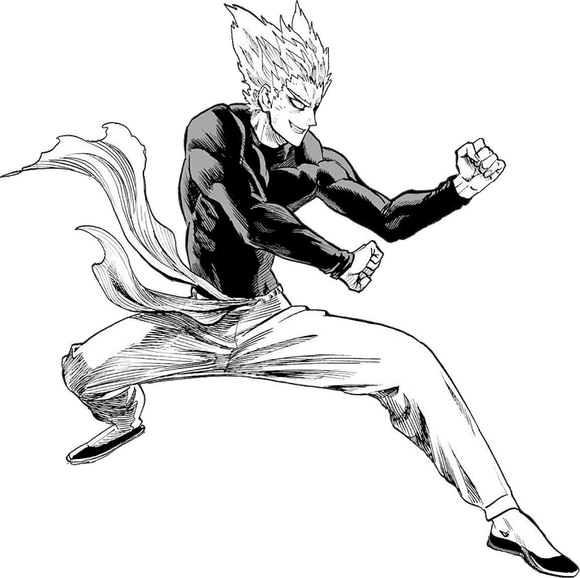 garou vs battle