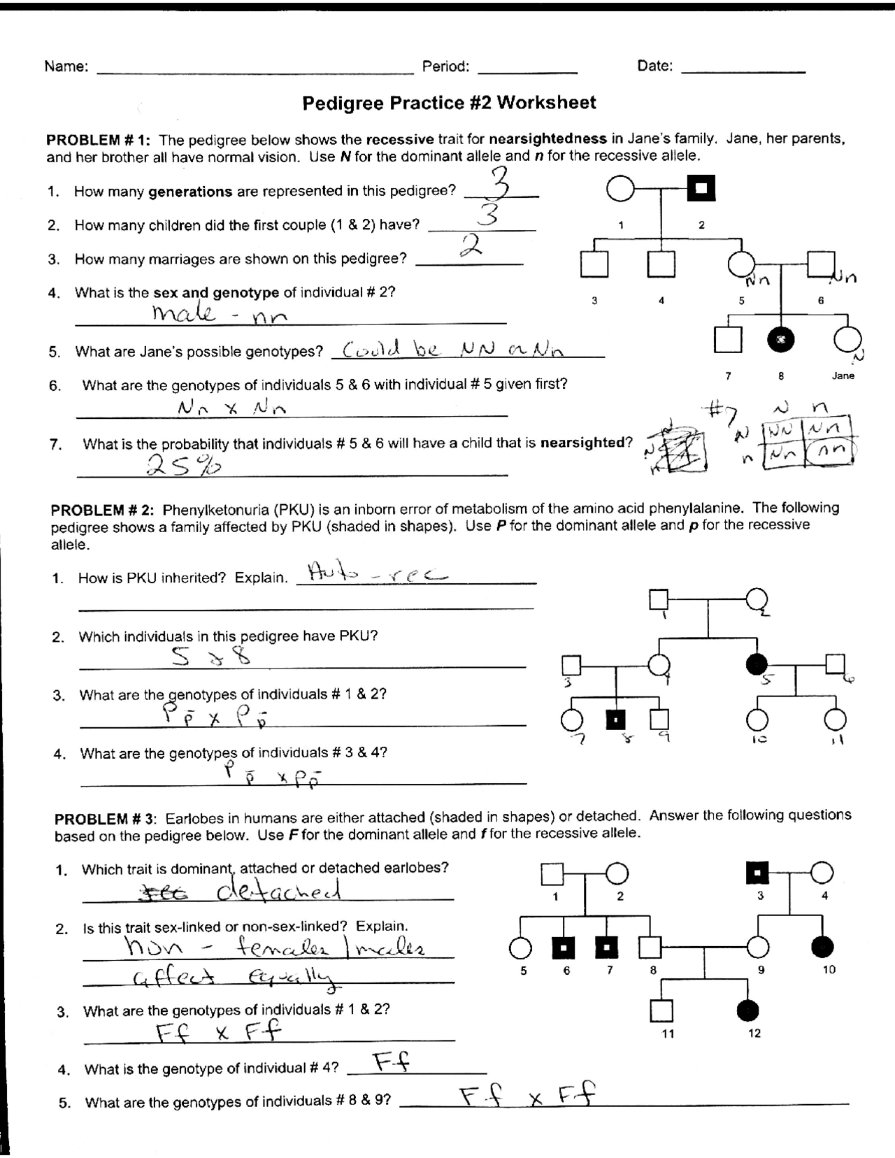 pedigree worksheet answer key pdf