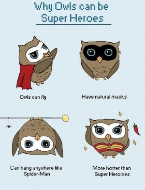 cute owl sayings