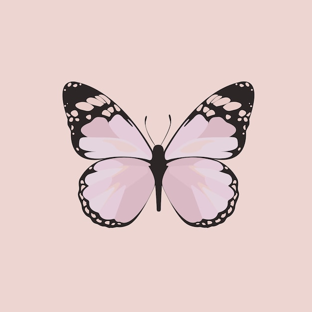 mariposas dibujo aesthetic