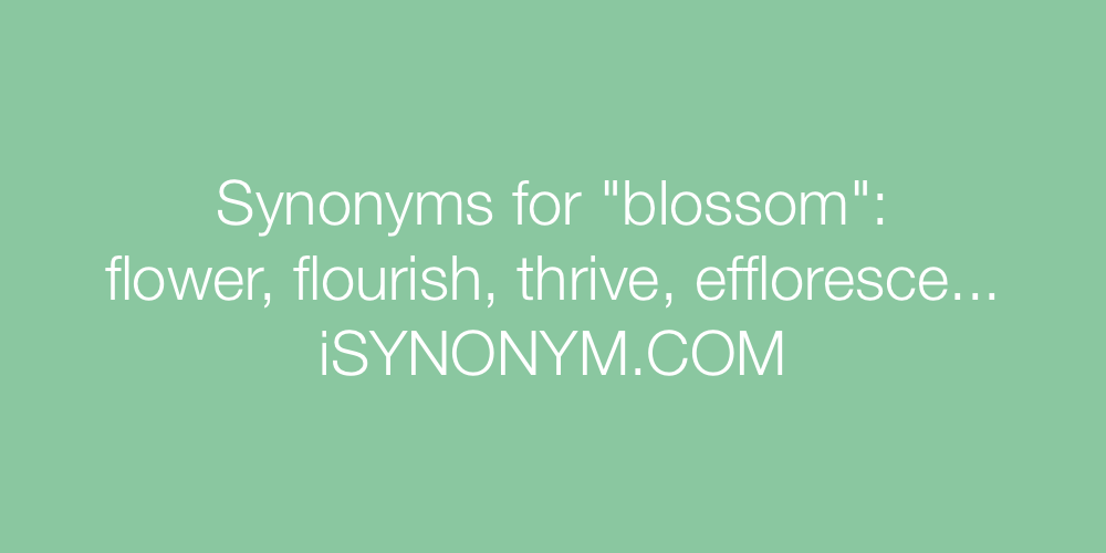 blossom synonym