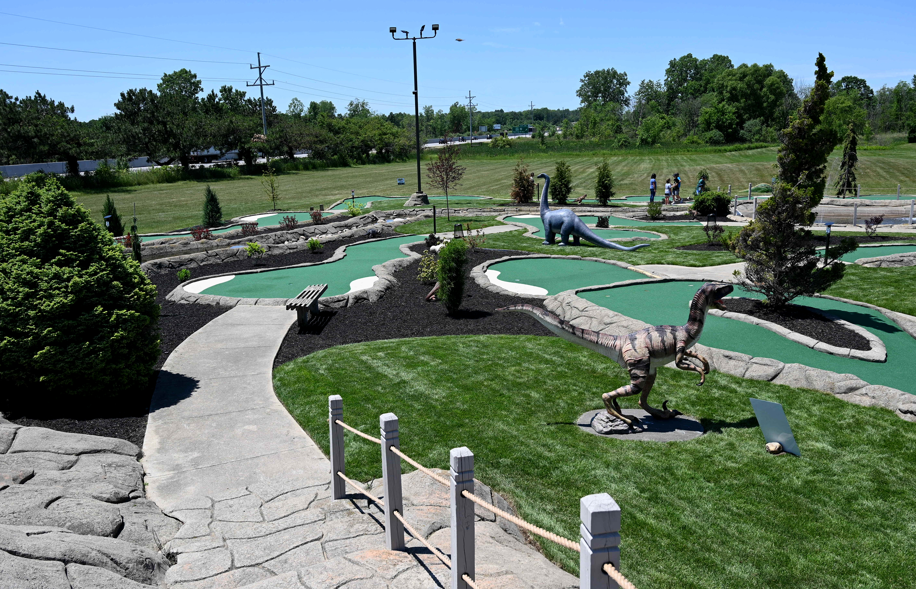 miniature golf jackson mi