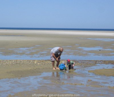 corporation beach tide chart