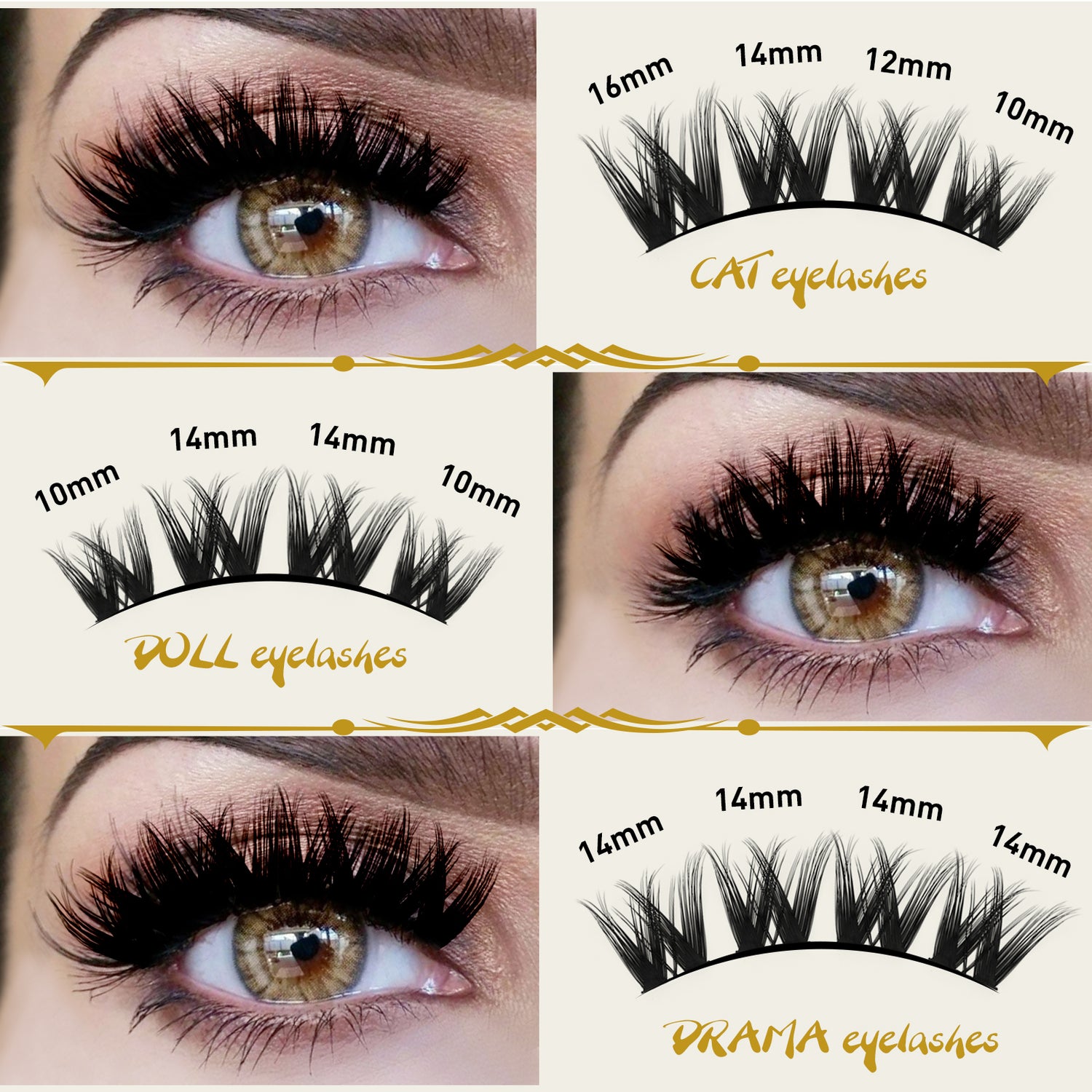 lash clusters