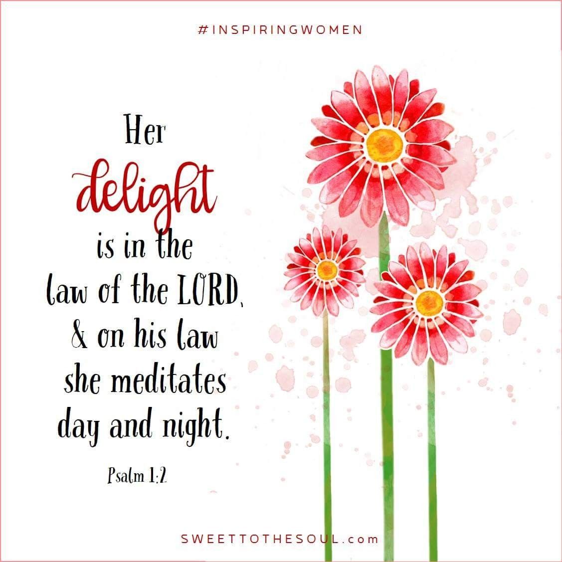 delight in the law of the lord