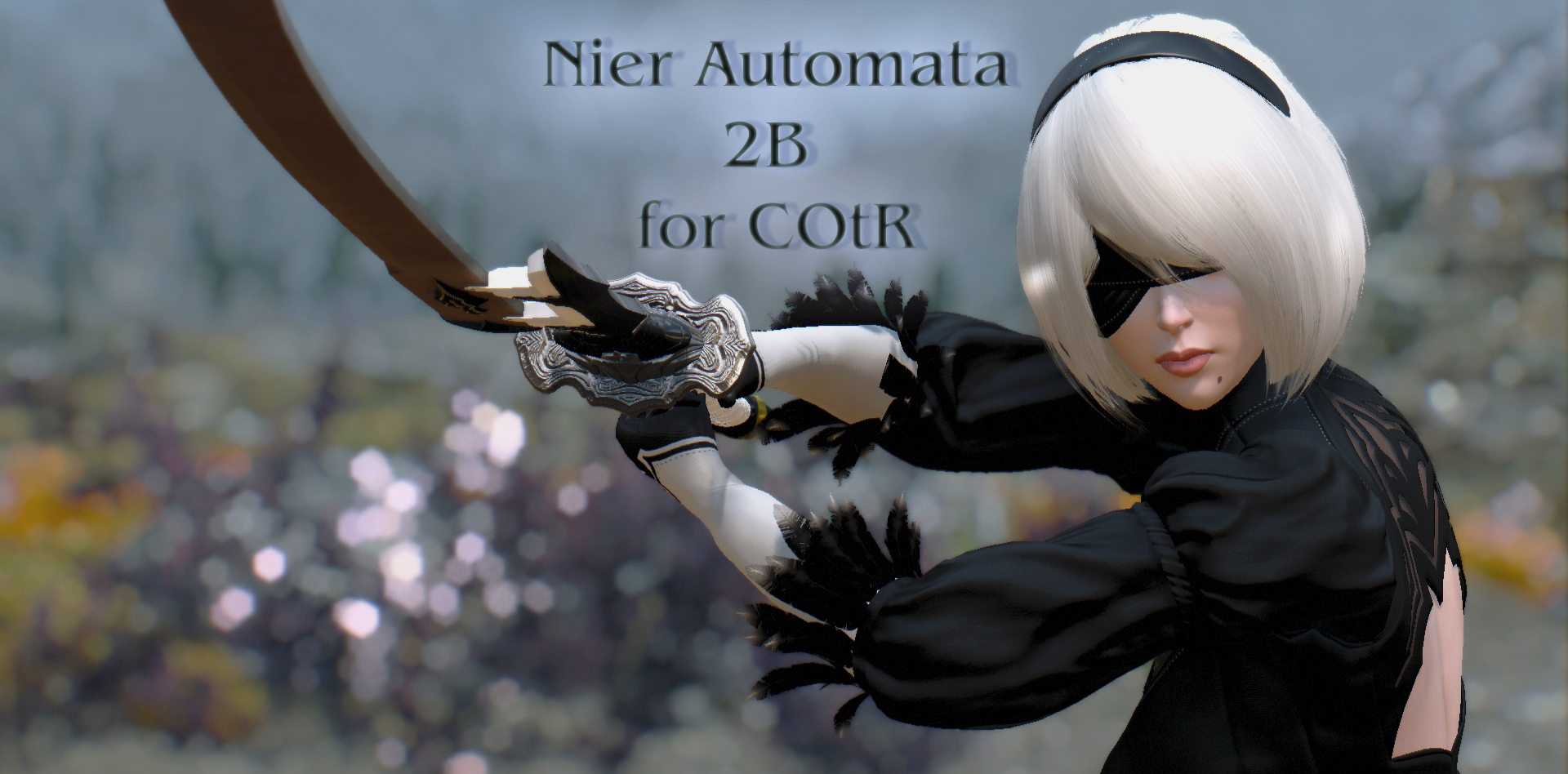 skyrim se 2b