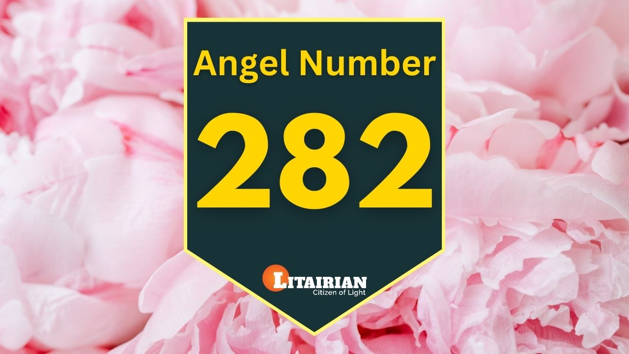 282 angel number