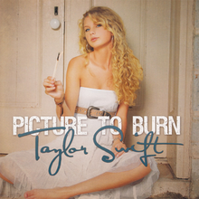 picture to burn original lyrics wife beater