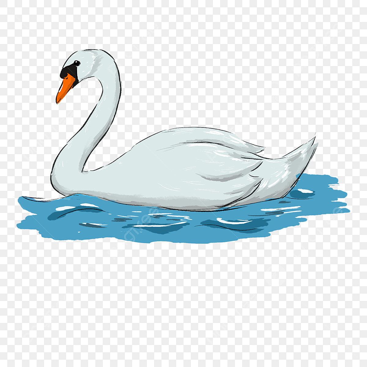 clipart swan