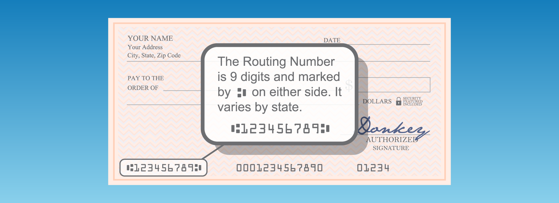 chase bank routing transit number