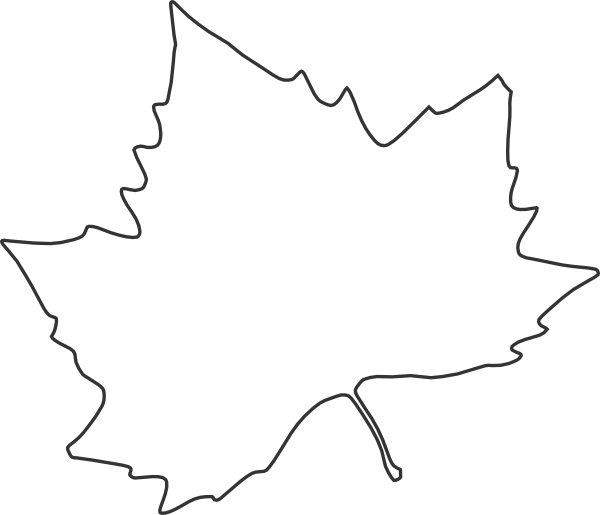 leaf outline clipart