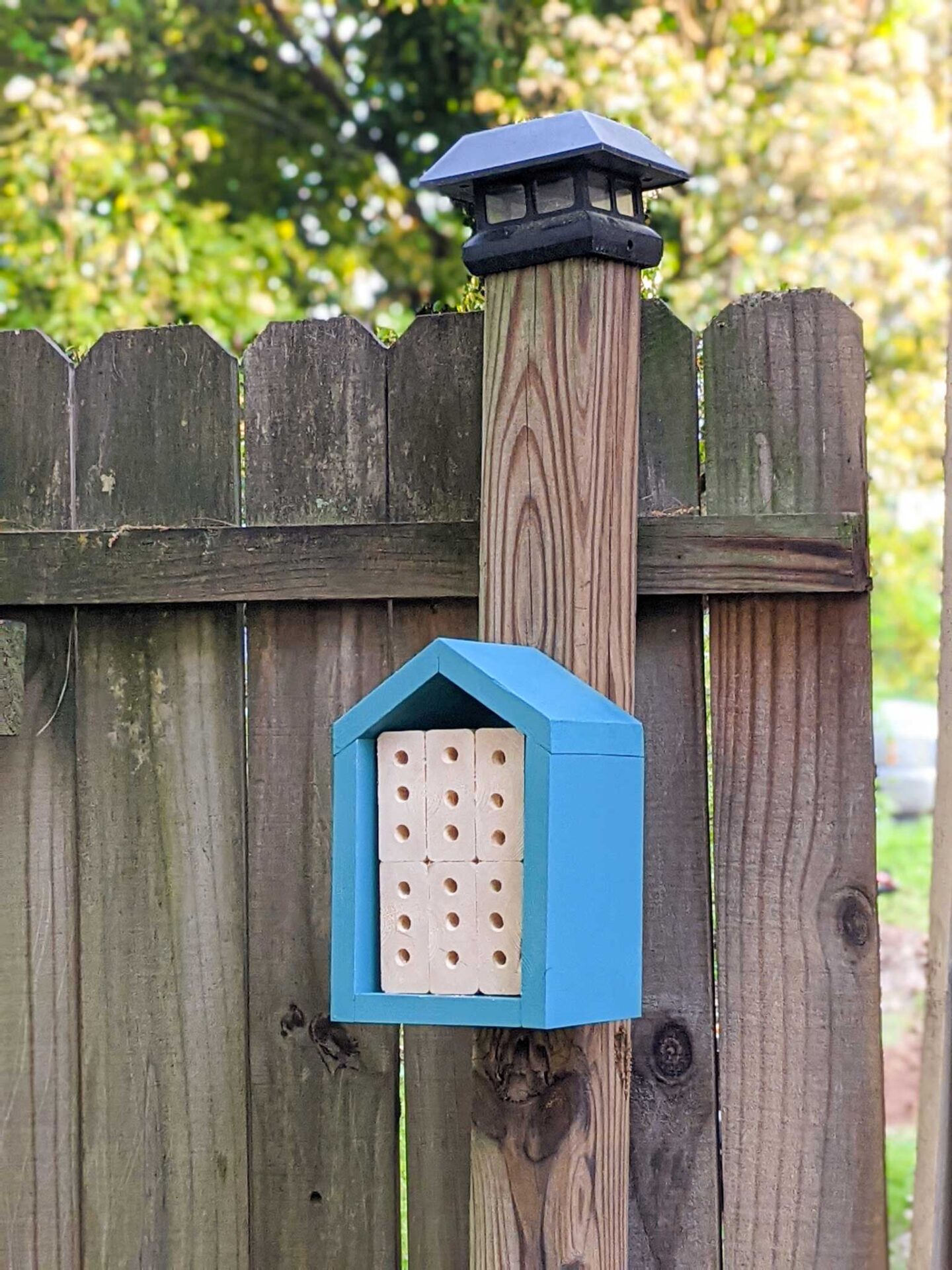 carpenter bee house diy