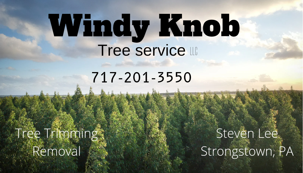 tree services in johnstown pa