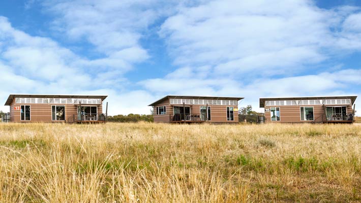 savannah cabins western plains zoo