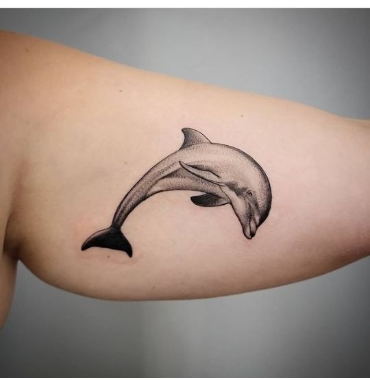 delfin tattoo