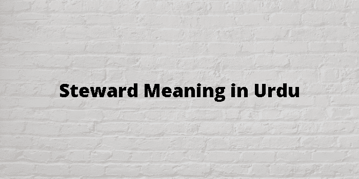 steward meaning in urdu