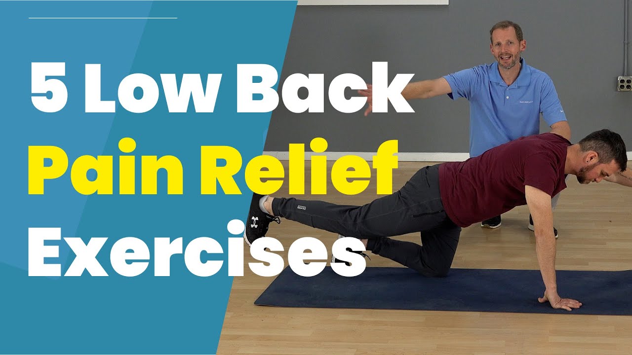 exercises for lower back pain youtube