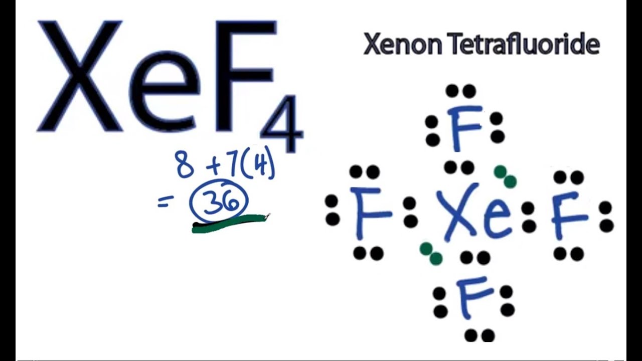 xef4 lewis structure