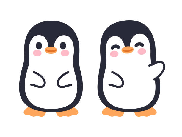 cute penguin pictures