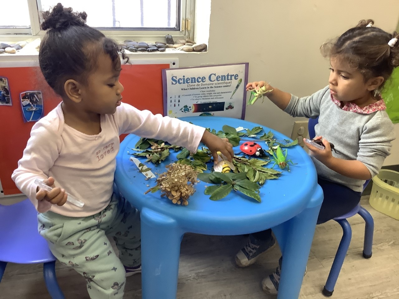 candy factory daycare toronto