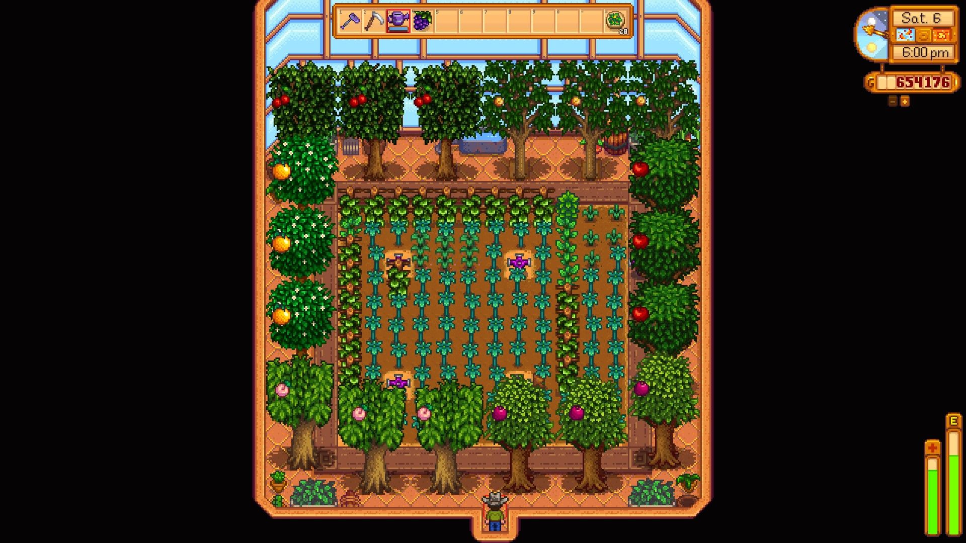 stardew valley greenhouse sprinkler layout