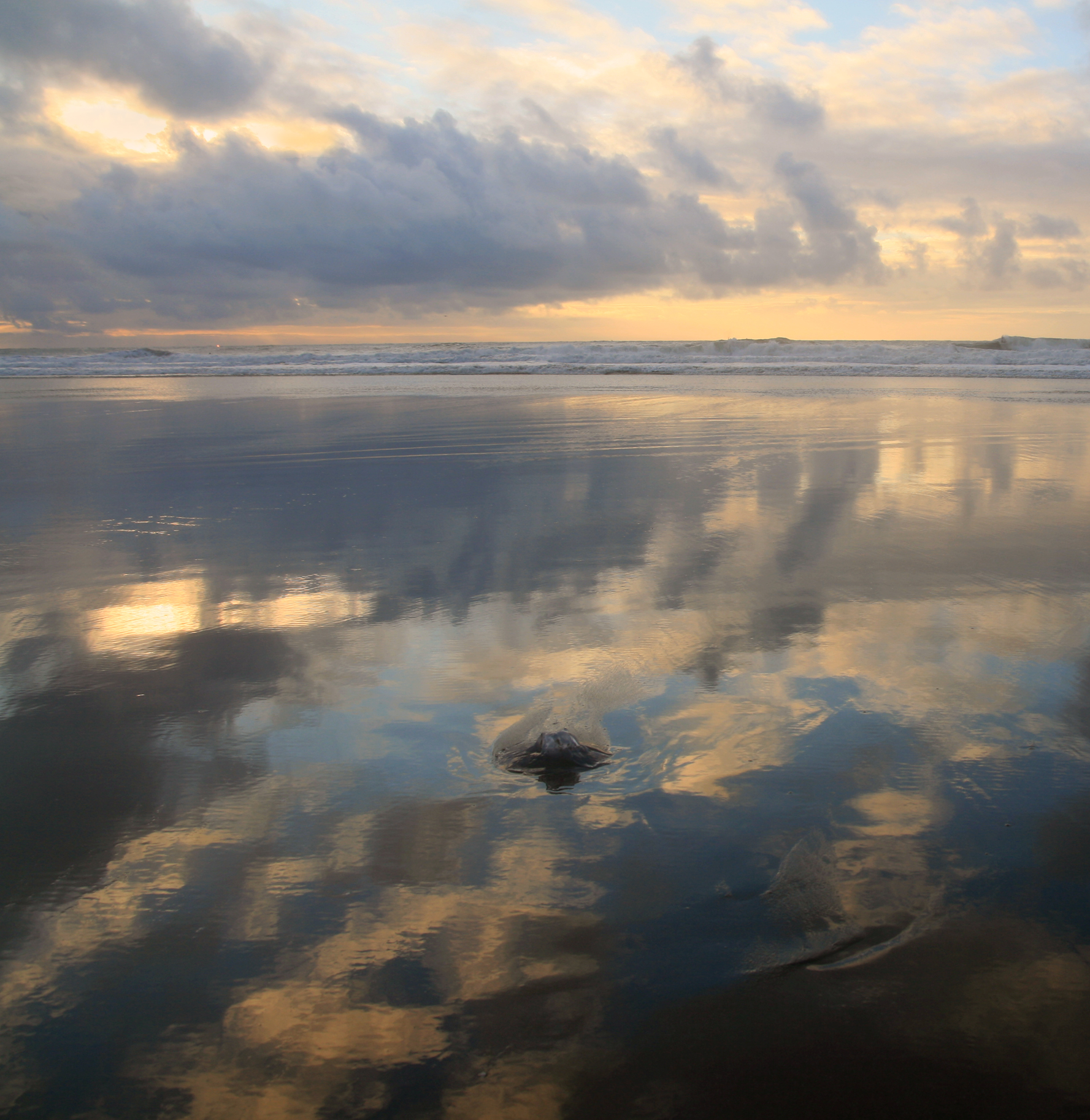 negative low tide