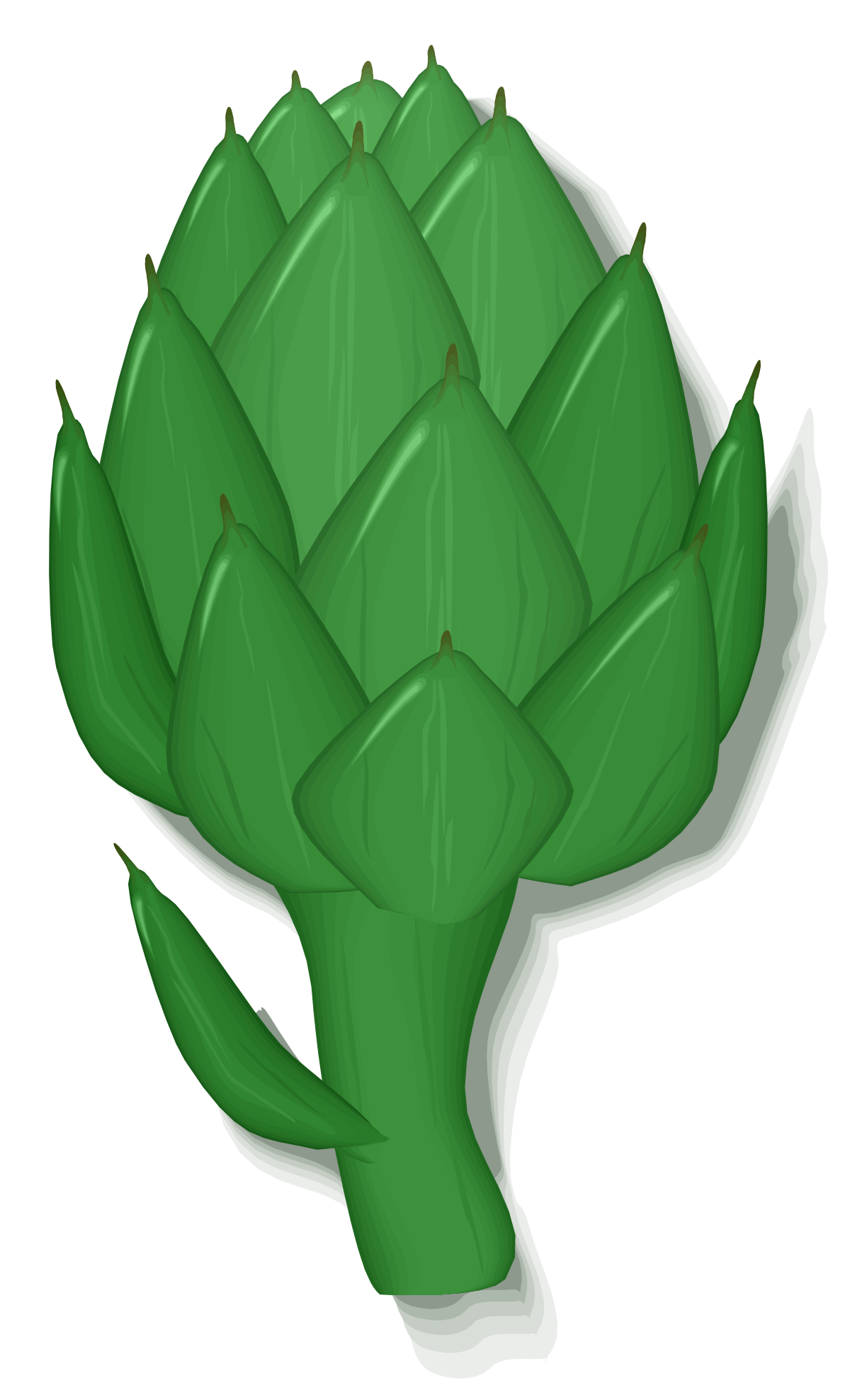 artichoke clip art