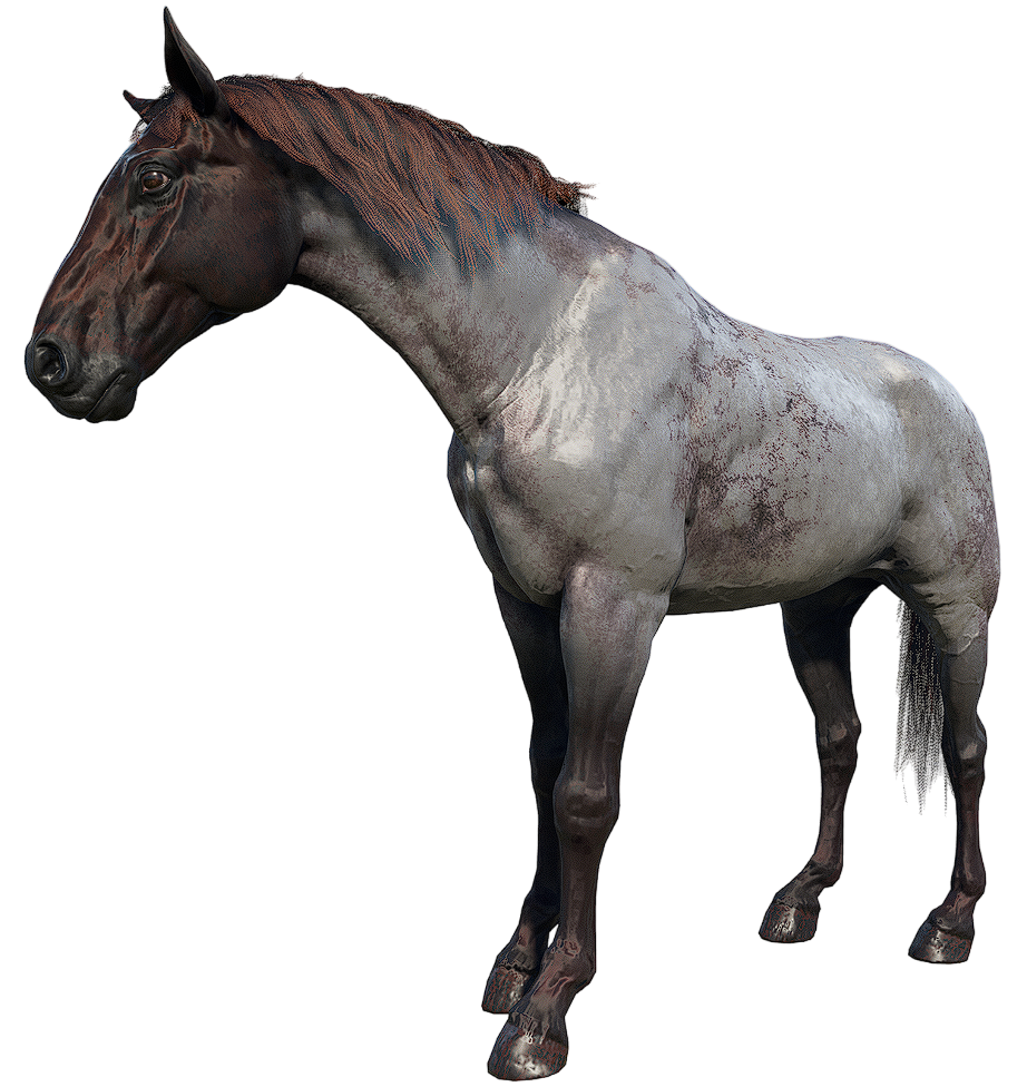 dutch warmblood rdr2