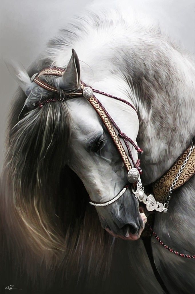 hermosos caballos pura sangre