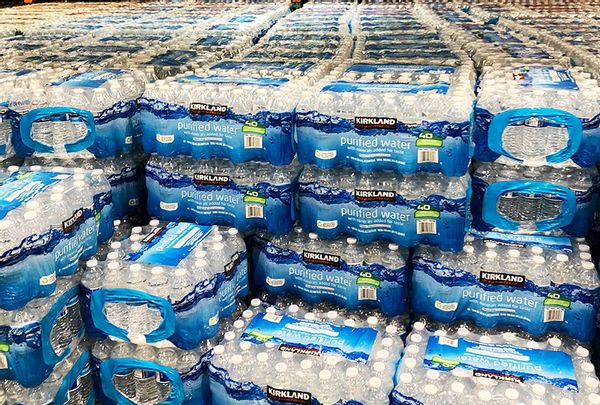 costco water price