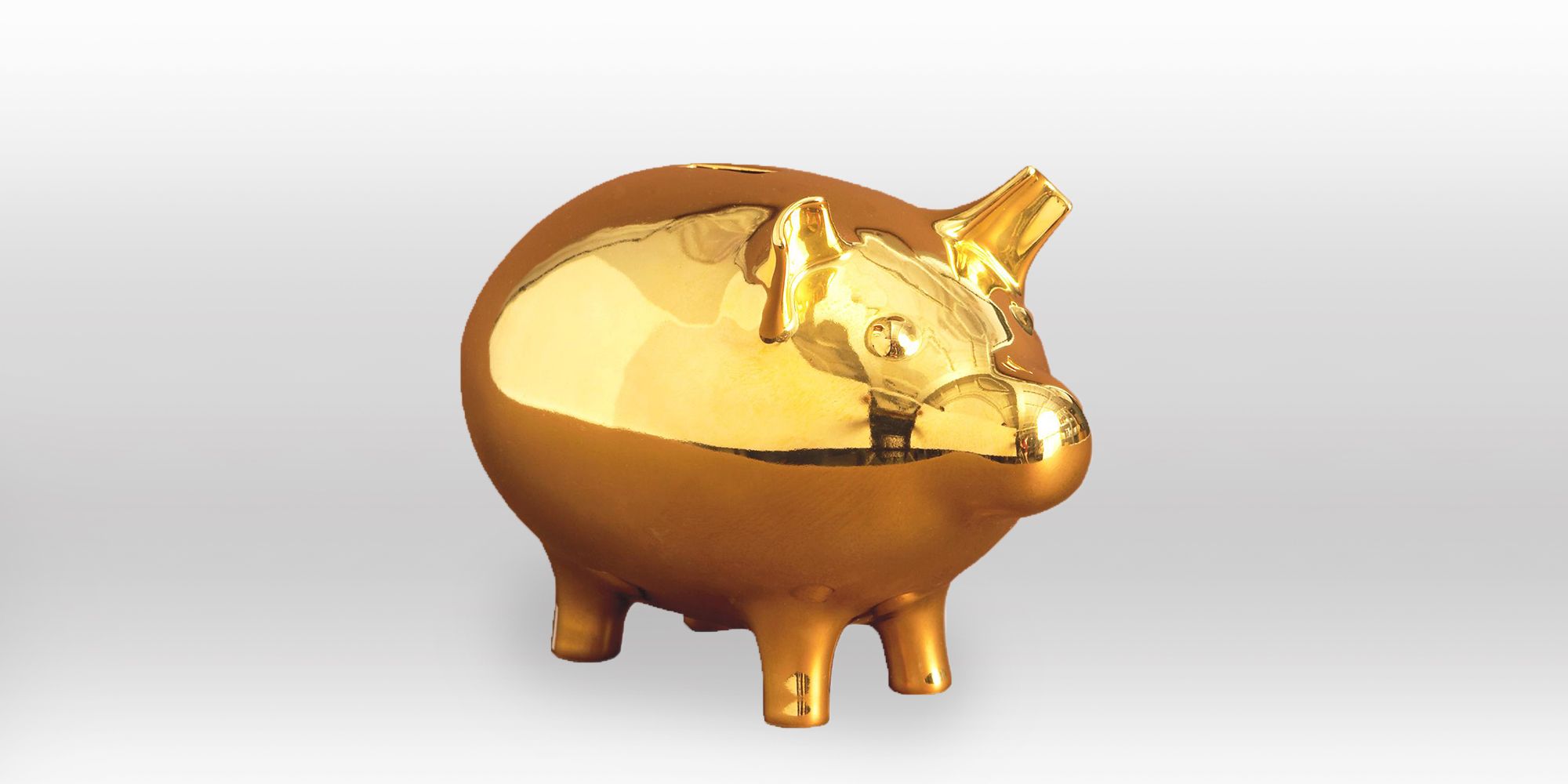 best piggy bank for adults